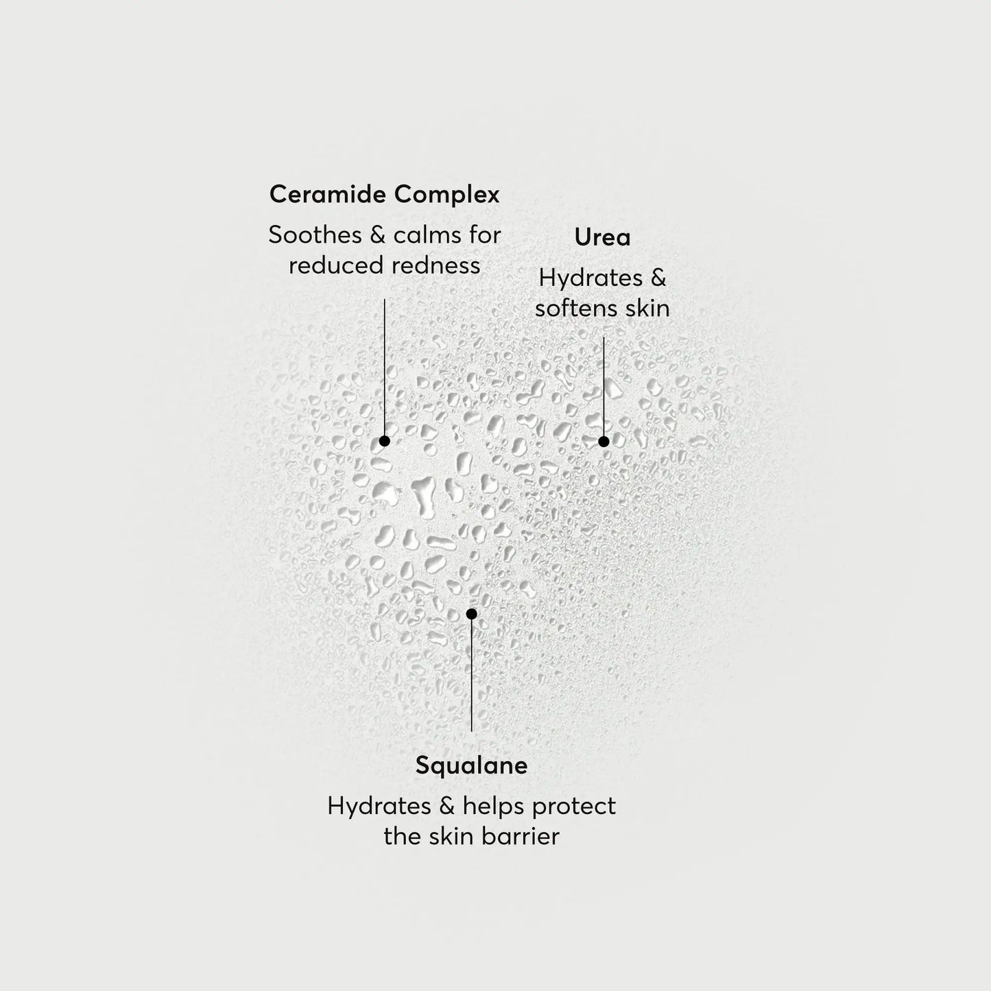 barrier-bounce-bi-phase-mist-o9 NATR-10167-Alt-Images-Barrier-Bounce-Bi-Phase-Toner-Mist_01.webp