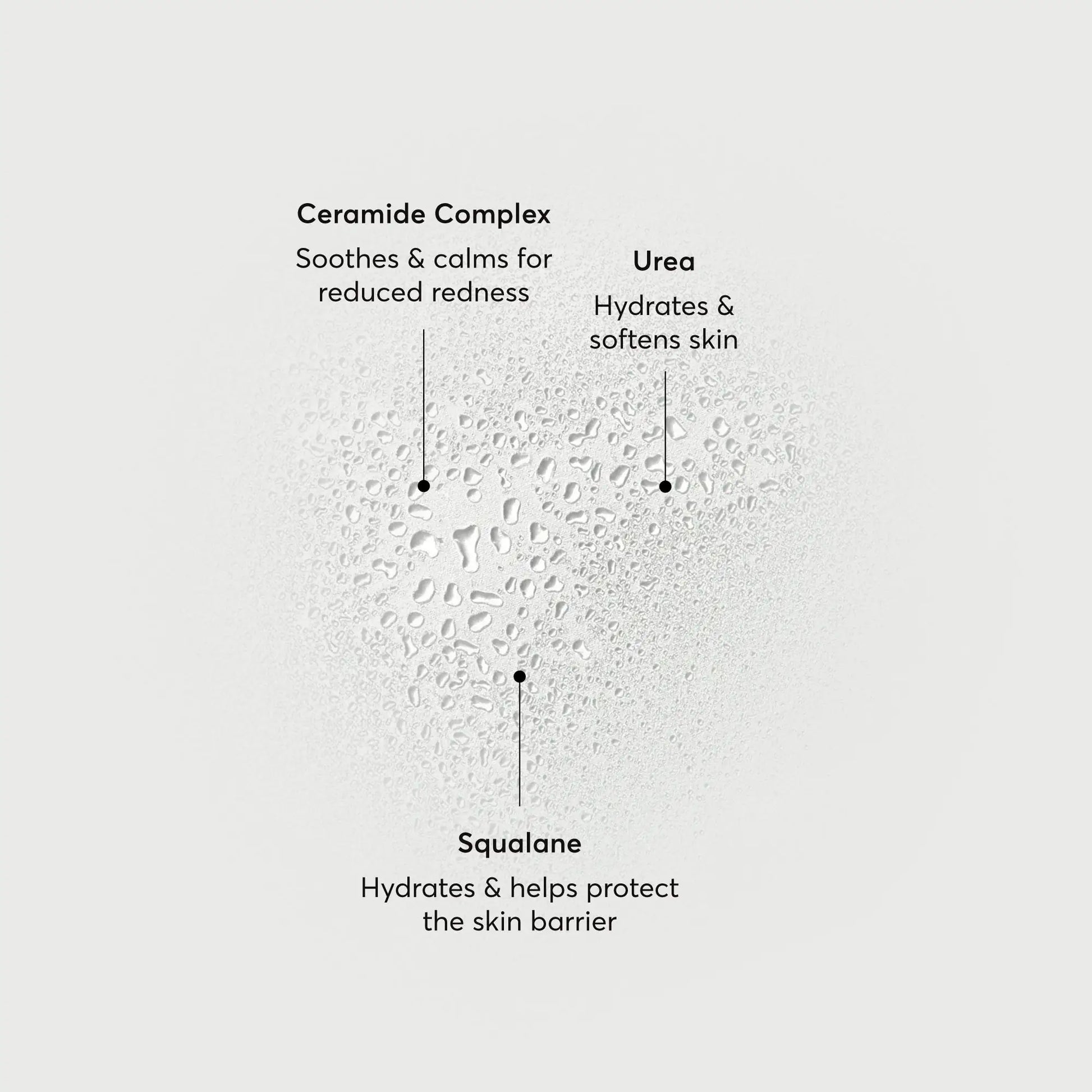 barrier-bounce-bi-phase-mist-o9 NATR-10167-Alt-Images-Barrier-Bounce-Bi-Phase-Toner-Mist_01.webp