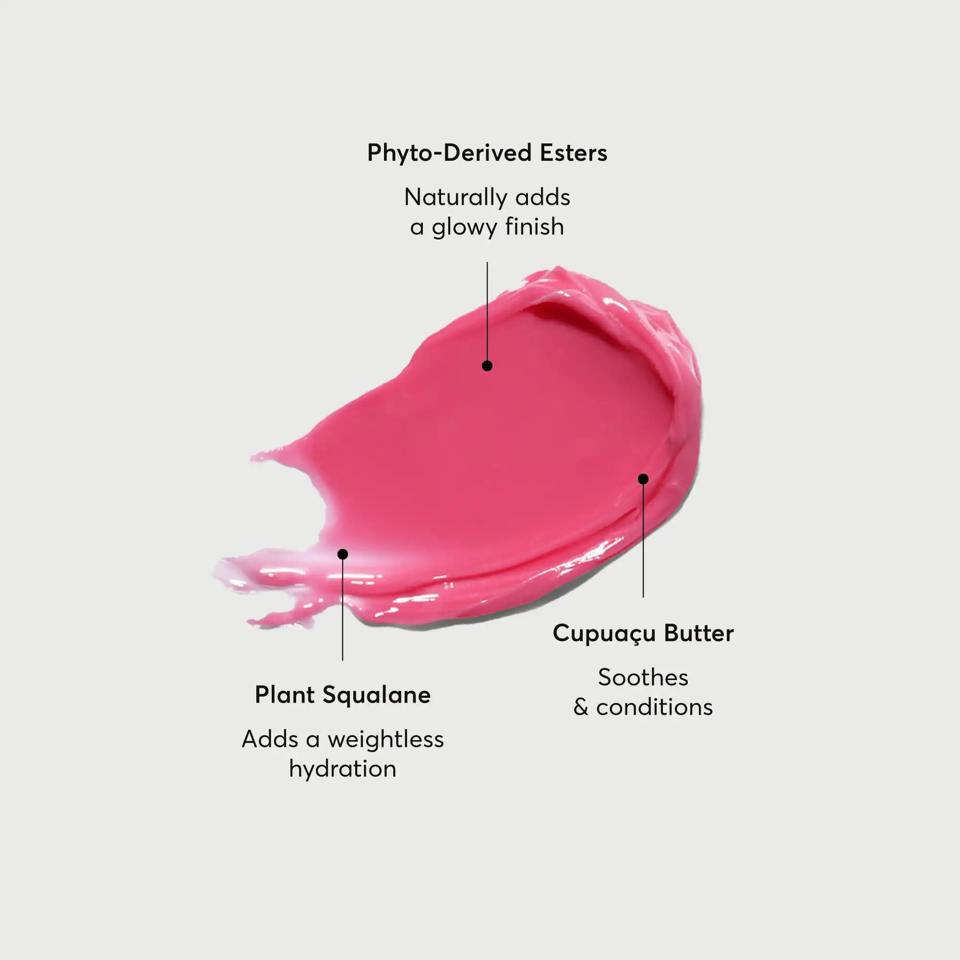 phyto-glow-lip-balm-camellia-e9 NATR-60075-Alt-Images-Phyto-Glow-Lip-Balm-Camellia-01.webp